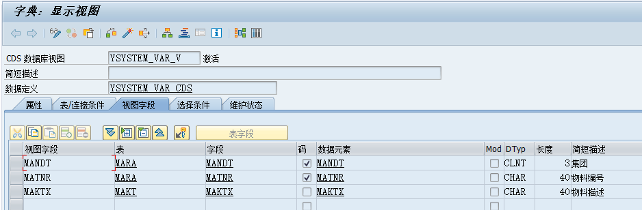 61.ABAP字典名称注解SE11截图